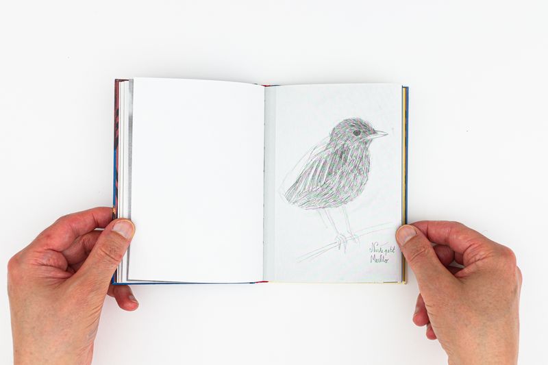 Image from a project on PhMuseum