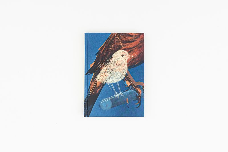 Image from a project on PhMuseum