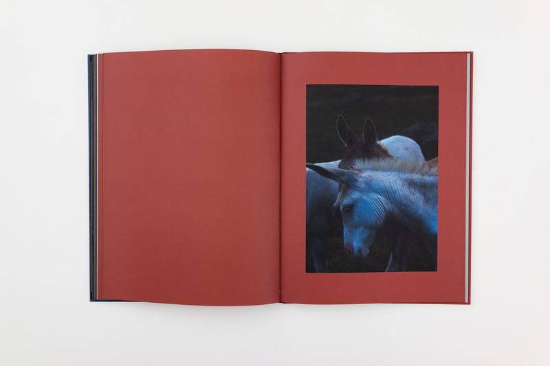 Image from a project on PhMuseum