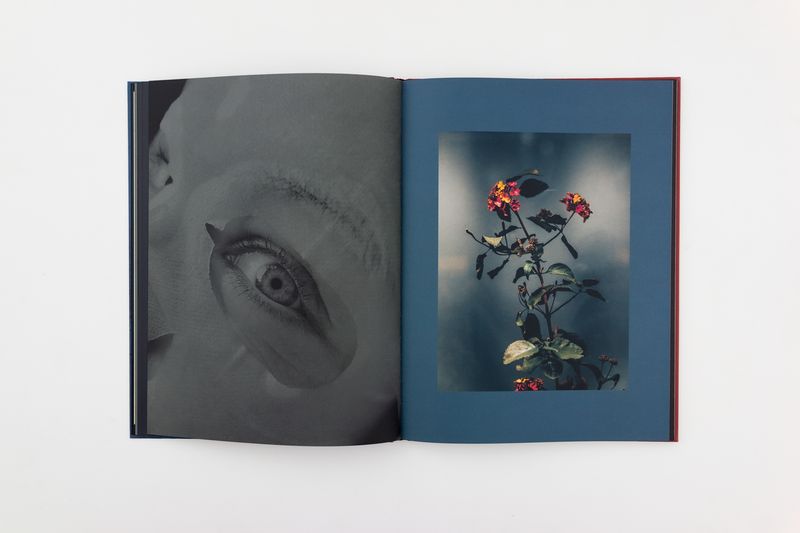 Image from a project on PhMuseum