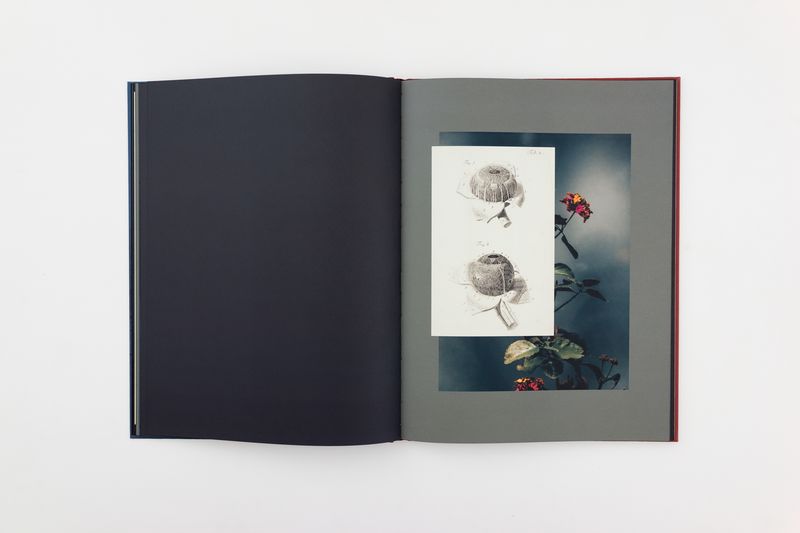 Image from a project on PhMuseum