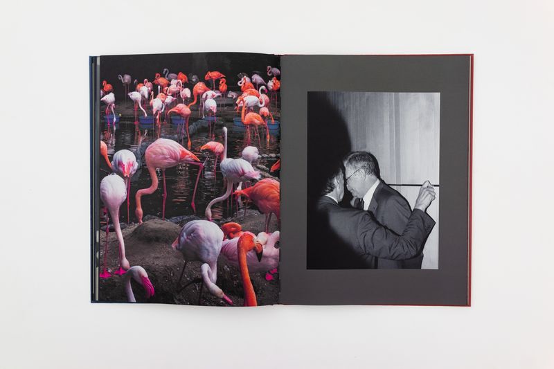 Image from a project on PhMuseum