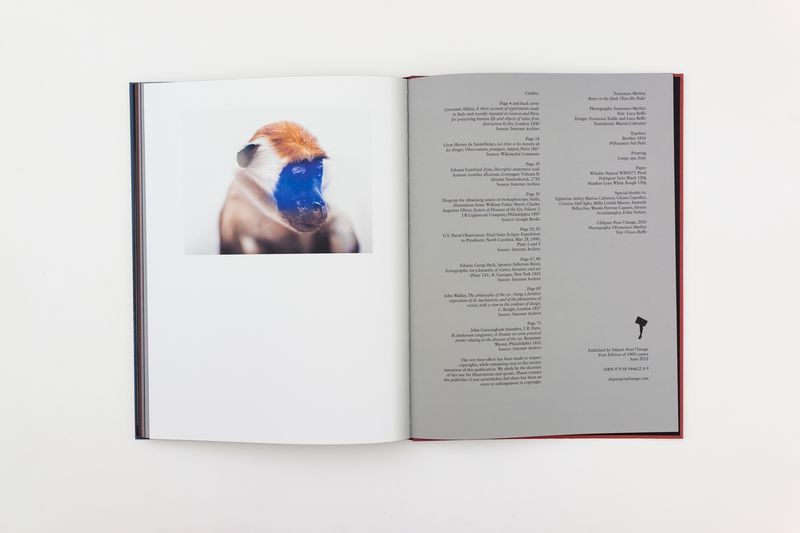 Image from a project on PhMuseum