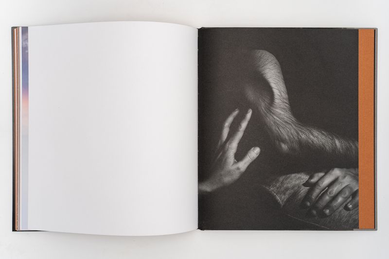 Image from a project on PhMuseum