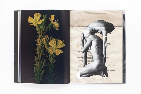 Image from a project on PhMuseum