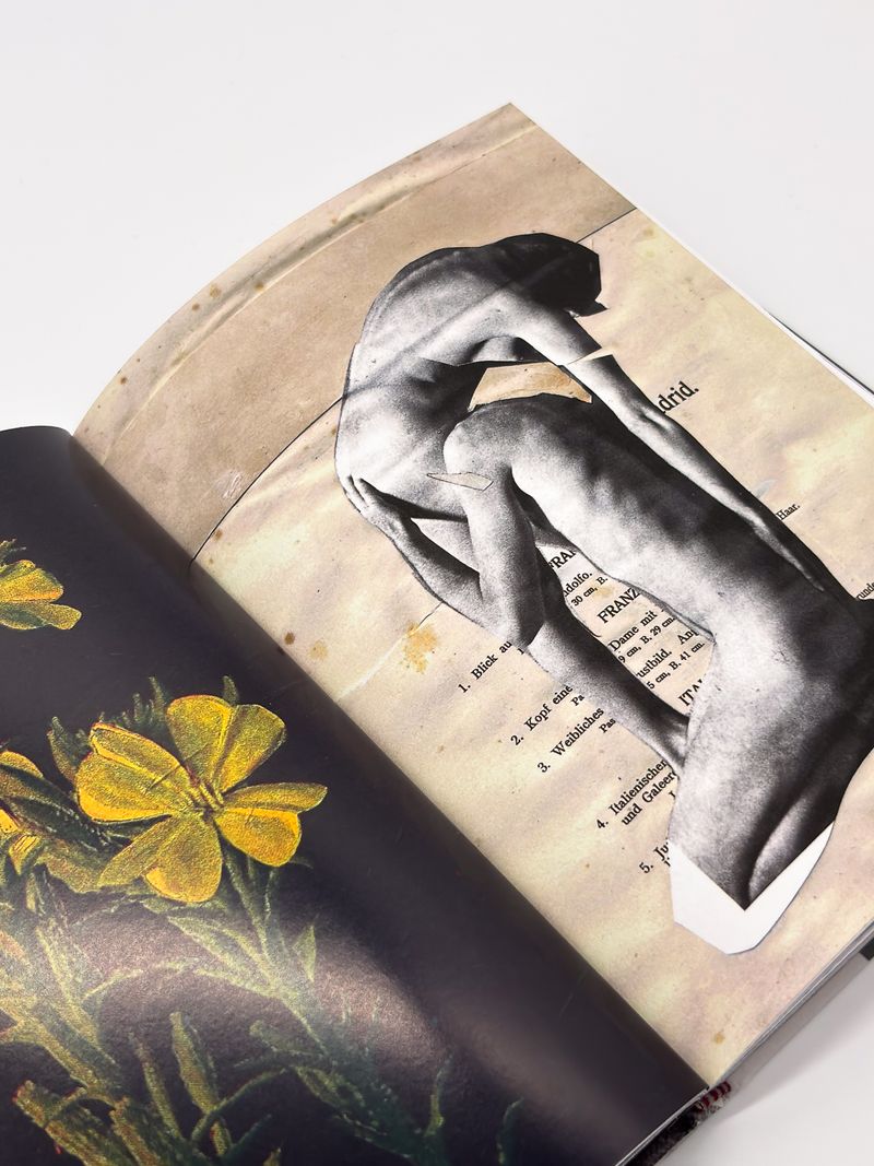 Image from a project on PhMuseum