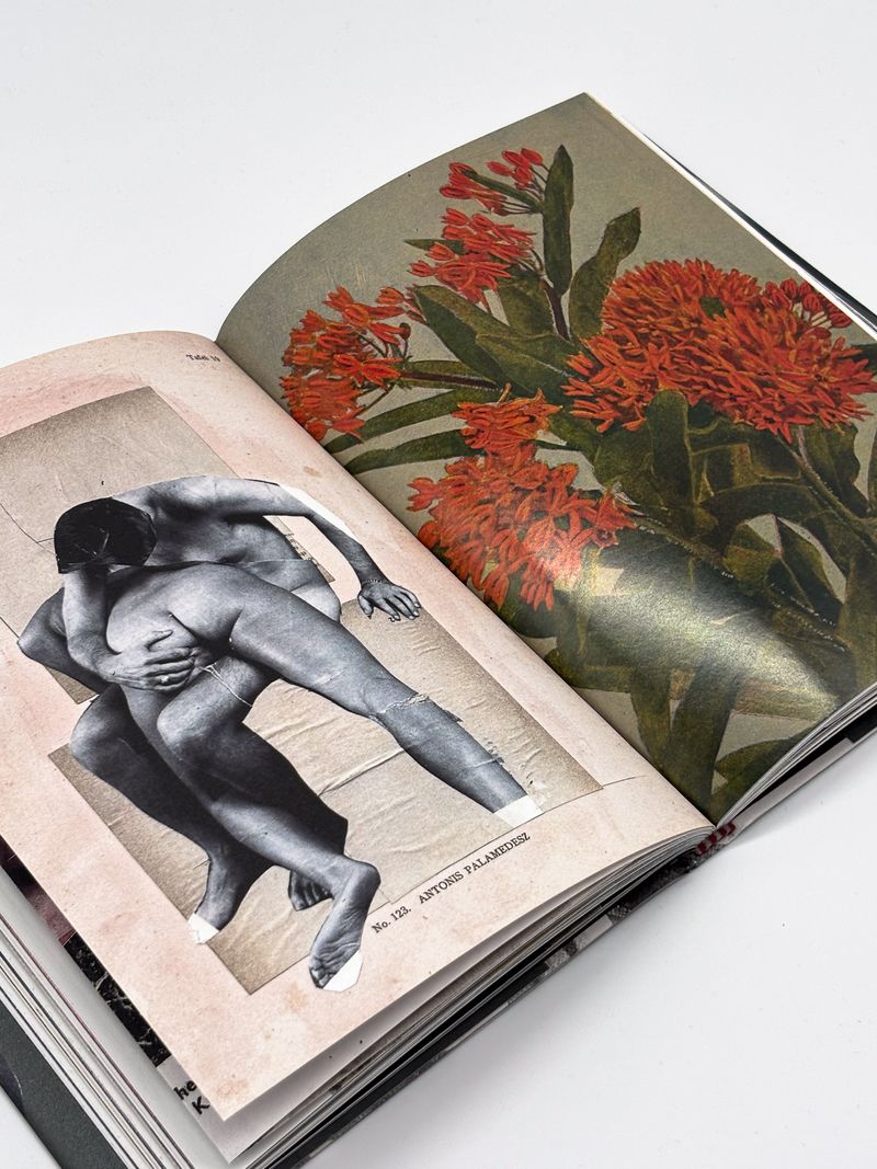 Image from a project on PhMuseum
