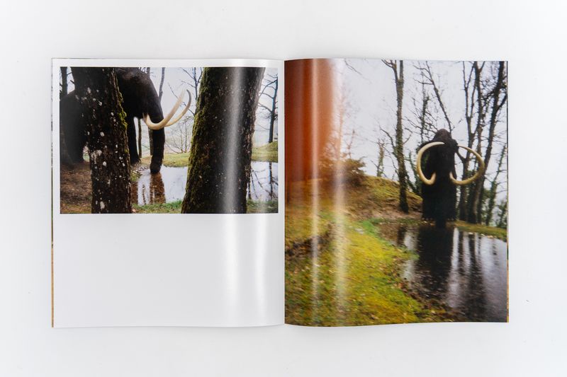 Image from a project on PhMuseum