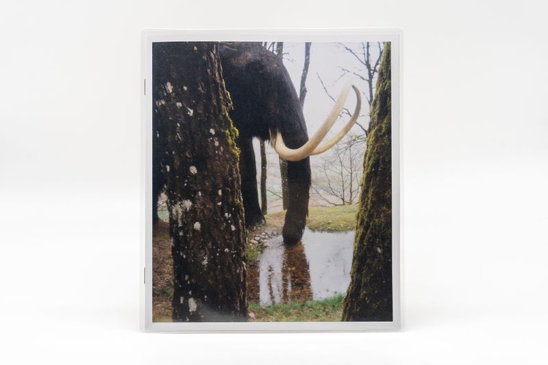Image from a project on PhMuseum