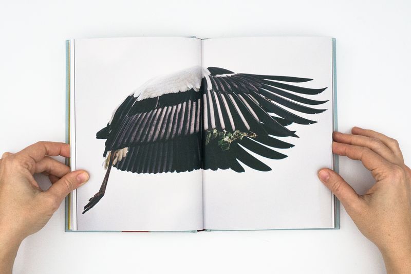 © Départ Pour l'Image - Image from the A Sensitive Education by Francesca Todde photography project