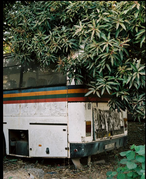 © Inês Ventura - Image from the The Presence of an Absent Thing photography project