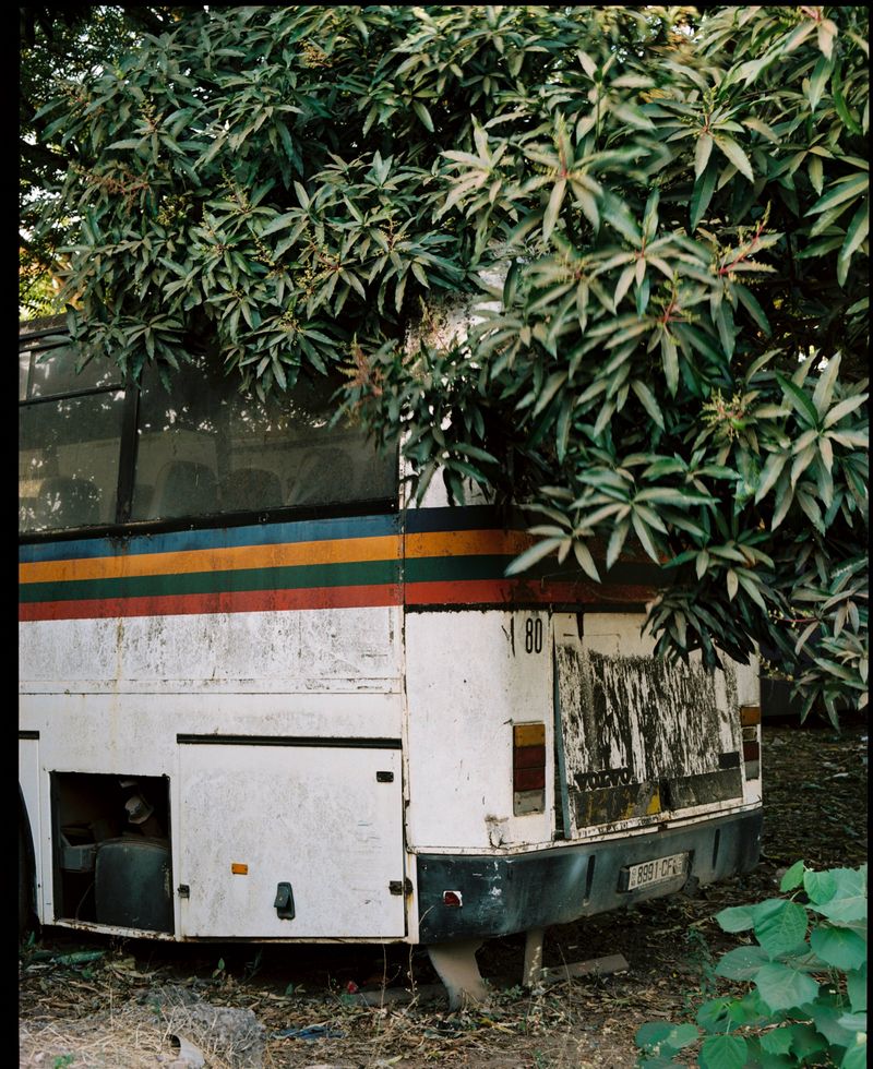 © Inês Ventura - Image from the The Presence of an Absent Thing photography project