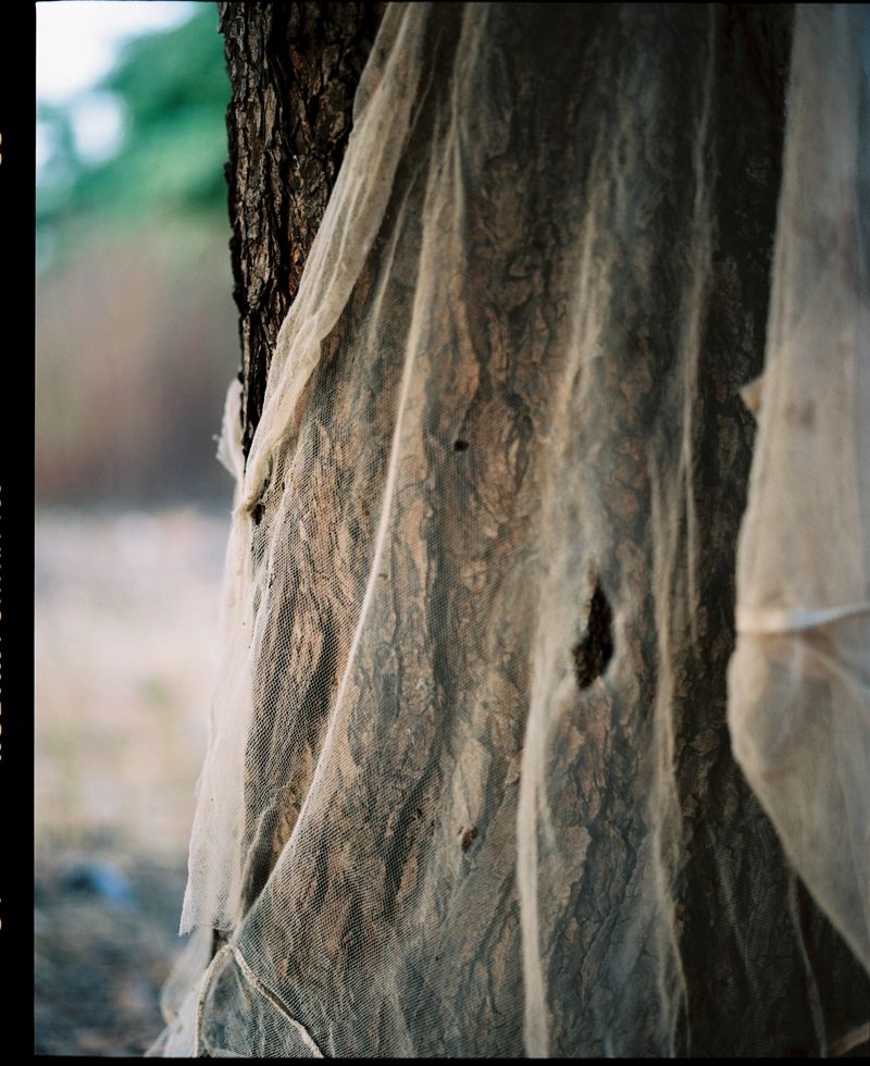 © Inês Ventura - Image from the The Presence of an Absent Thing photography project