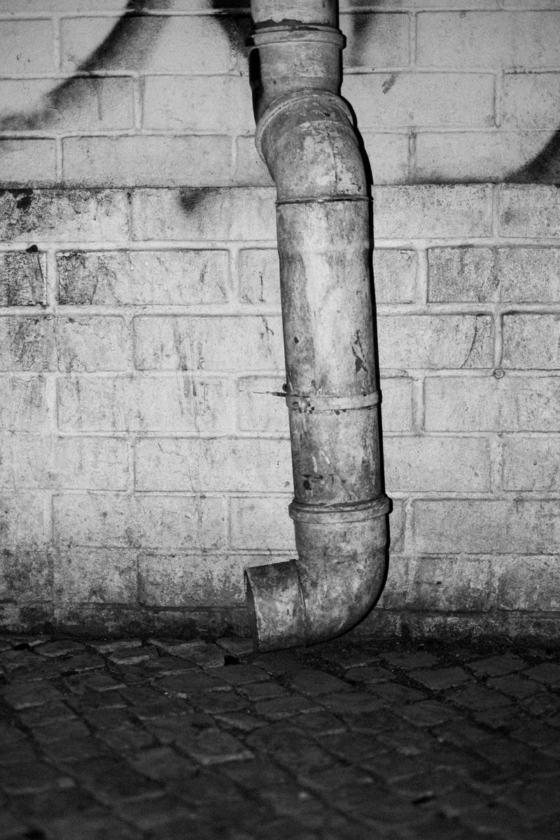 © Inês Ventura - Image from the KINGS photography project