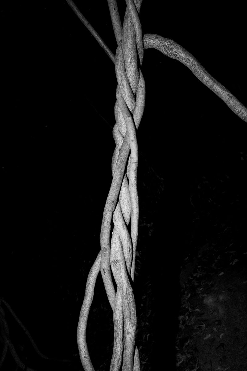 © Inês Ventura - Image from the KINGS photography project