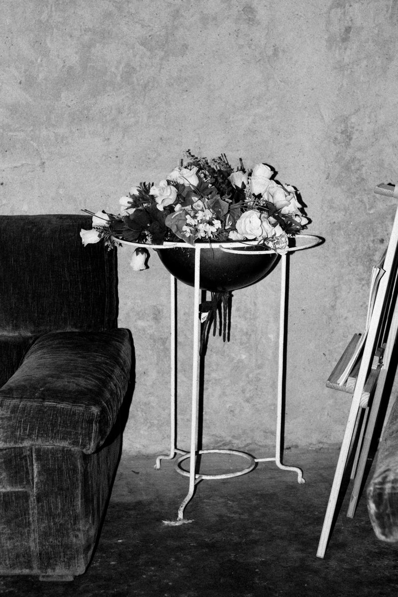 © Inês Ventura - Image from the KINGS photography project