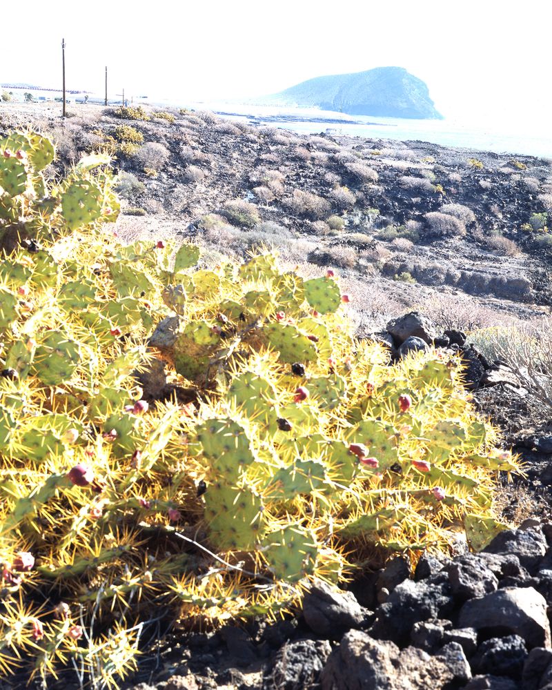 © Seba Kurtis - Image from the Drowned photography project