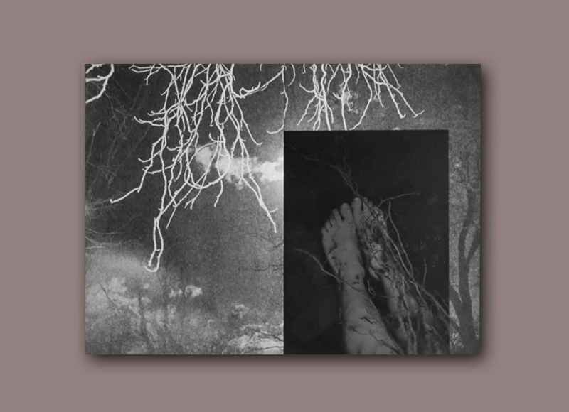 Image from a project on PhMuseum