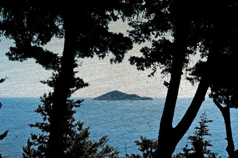 Image from a project on PhMuseum