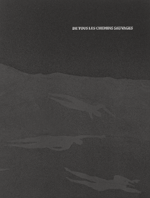 De tous les chemins sauvages by Claire Amaouche