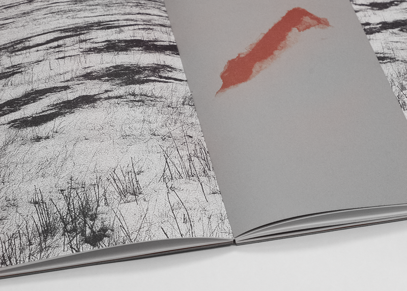 Image from a project on PhMuseum