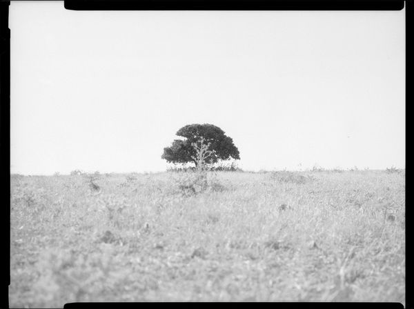 Image from a project on PhMuseum