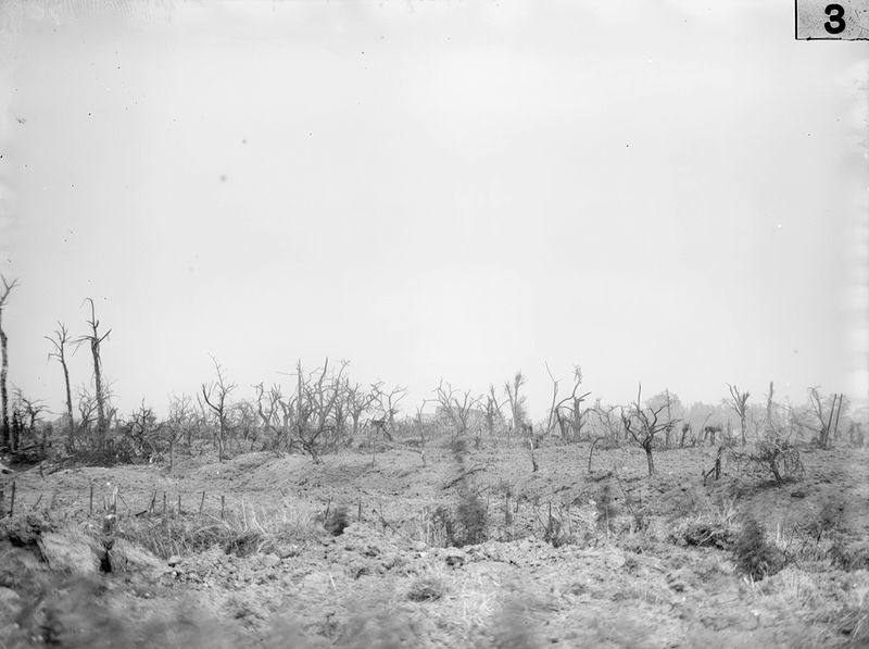 Image from a project on PhMuseum