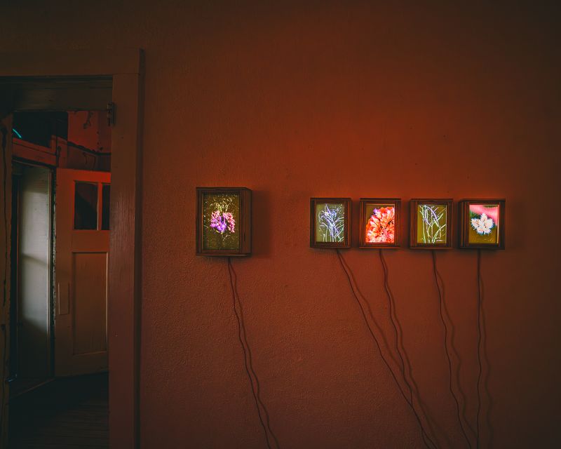 Image from a project on PhMuseum