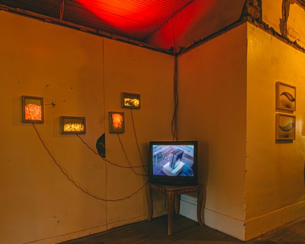 Image from a project on PhMuseum