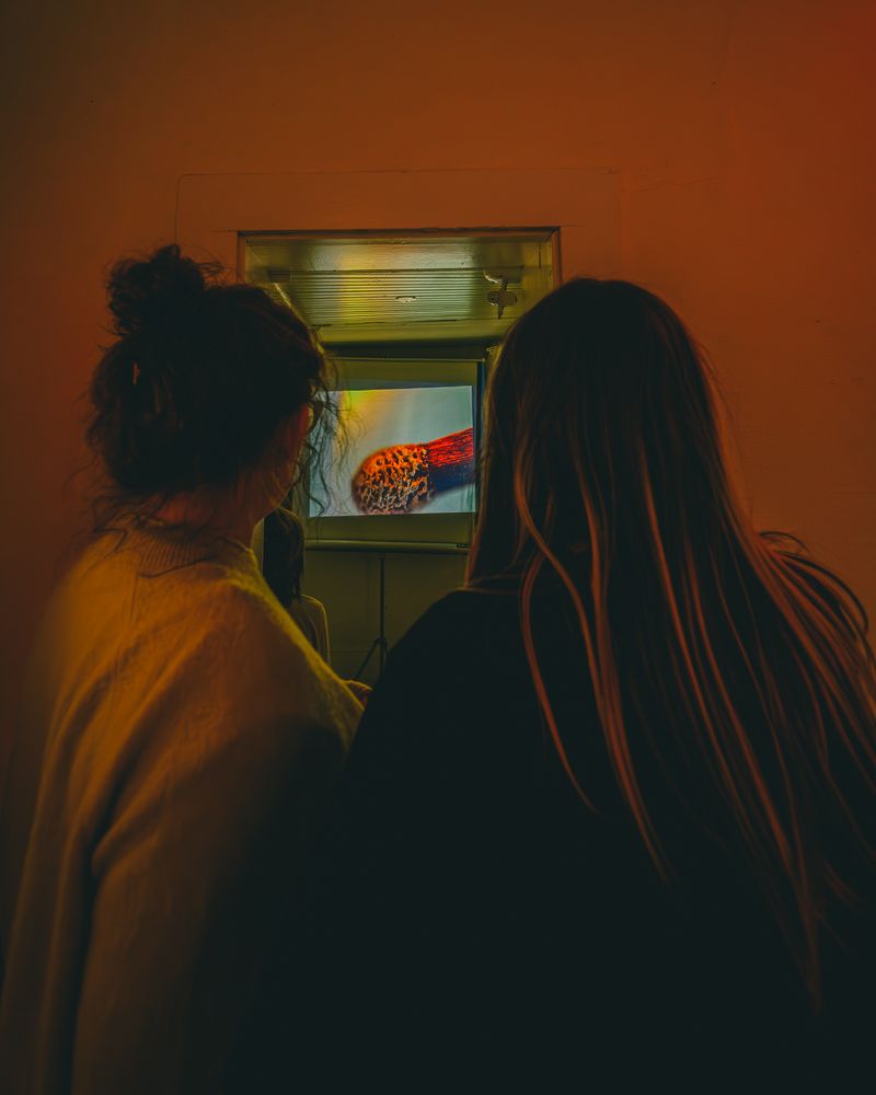 Image from a project on PhMuseum