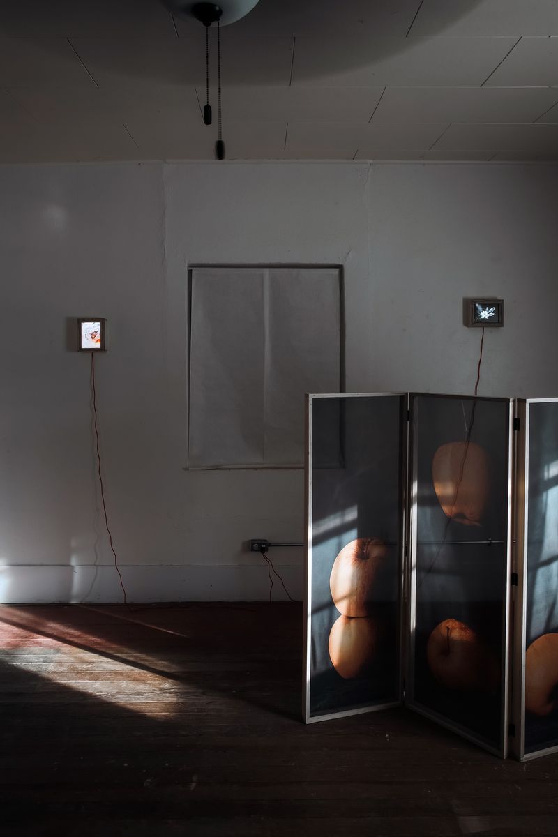 Image from a project on PhMuseum