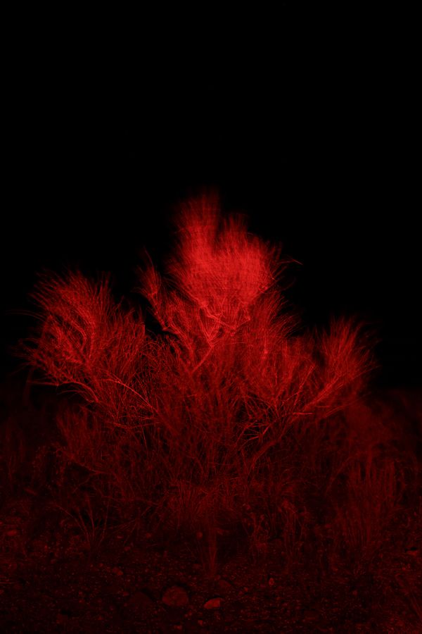 © Logan Caldbeck - Image from the SIGNAL VOID photography project