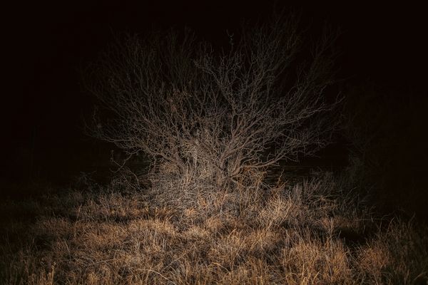 © Logan Caldbeck - Image from the SIGNAL VOID photography project