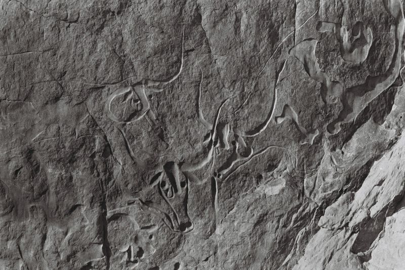 © Maxine Noel - Image from the Beyond the Dunes: The Tuareg Legacy photography project