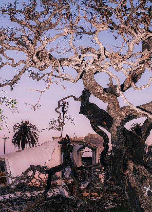 © tkr - Aftermath of the wildfire in Pacific Palisades. Los Angeles, California, USA, Winter 2025