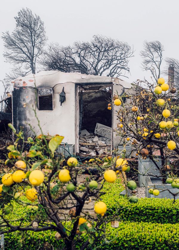 © tkr - Aftermath of the wildfire in Pacific Palisades. Los Angeles, California, USA, Winter 2025