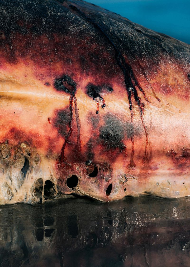 © tkr - Image from the ERA photography project