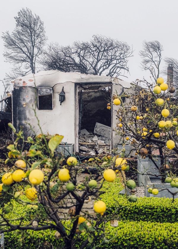 © Tobias Kruse - Aftermath of the wildfire in Pacific Palisades. Los Angeles, California, USA, Winter 2025