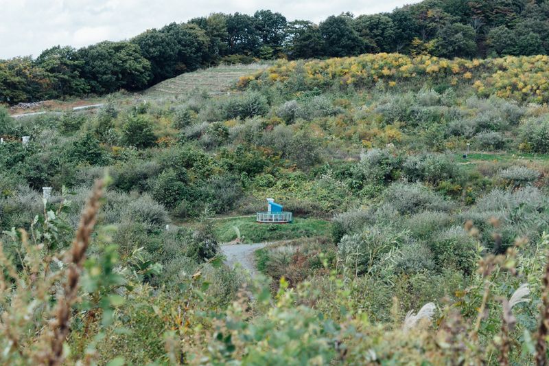 © Maki Hayashida - Aomori-Iwate Prefectural Illegal Dumping Site (Aomori Side), 2020