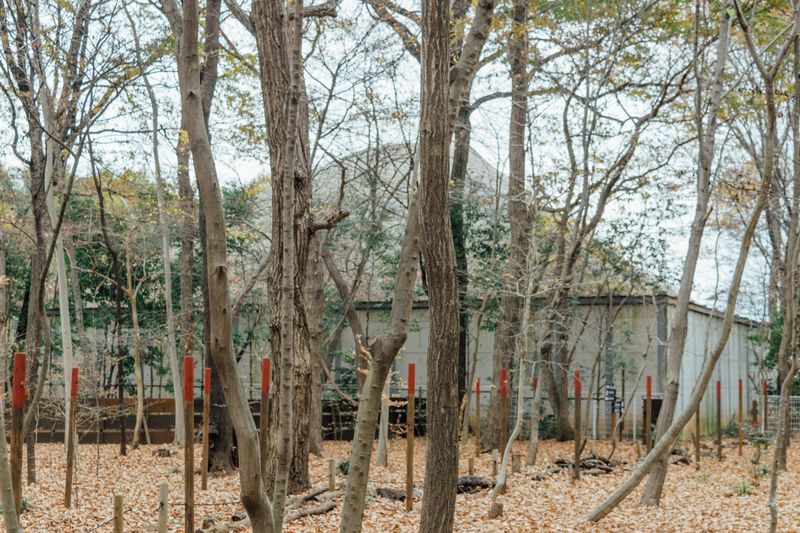 © Maki Hayashida - In Saitama, 2020