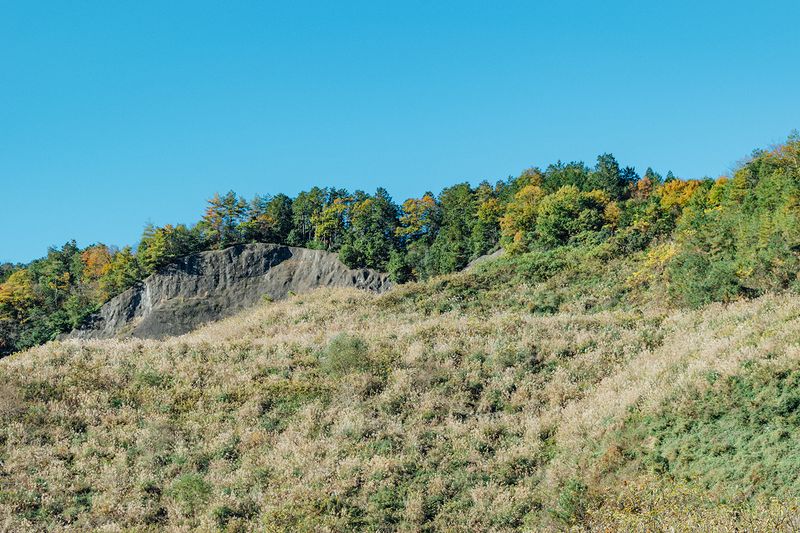 © Maki Hayashida - Illegal Dumping Site at the Northern Gifu City Area in Gifu, 2020