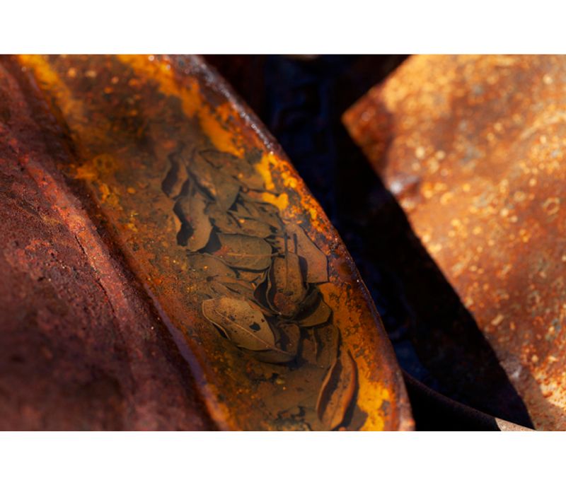 © Liana Grigoryan - Image from the Fire Effects photography project