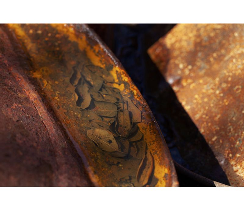 © Liana Grigoryan - Image from the Fire Effects photography project