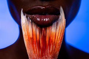 The Balance of Elements: Earth, water, fire, air, spirit.