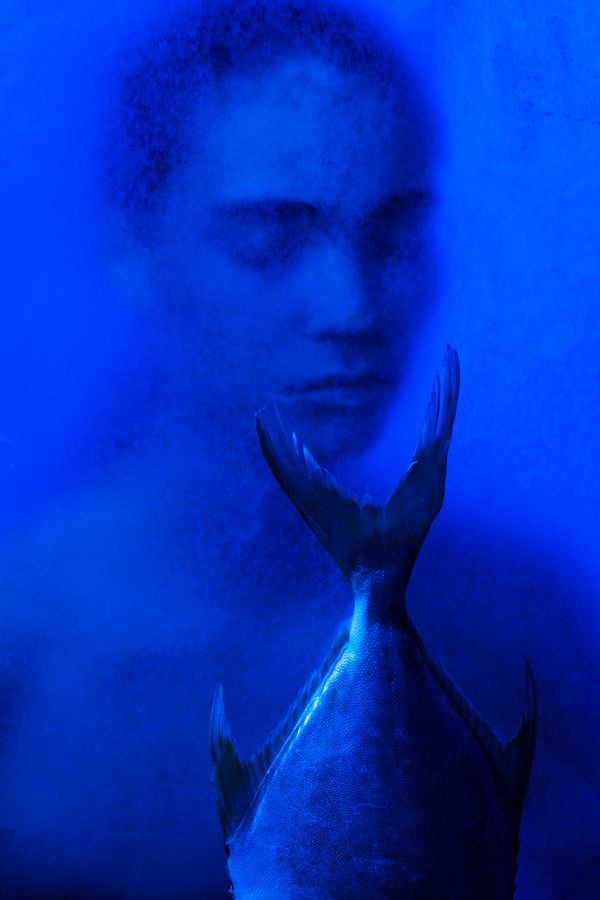 © Liana Grigoryan - Water series, "Harmony"