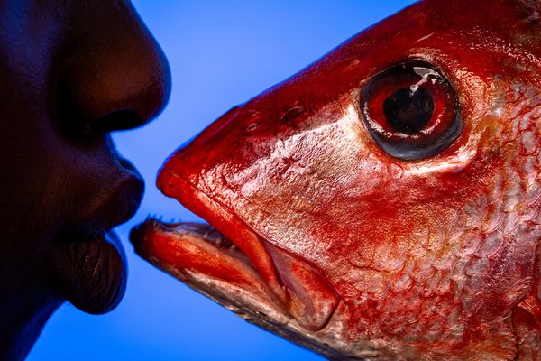 © Liana Grigoryan - Water series, "Bonds"