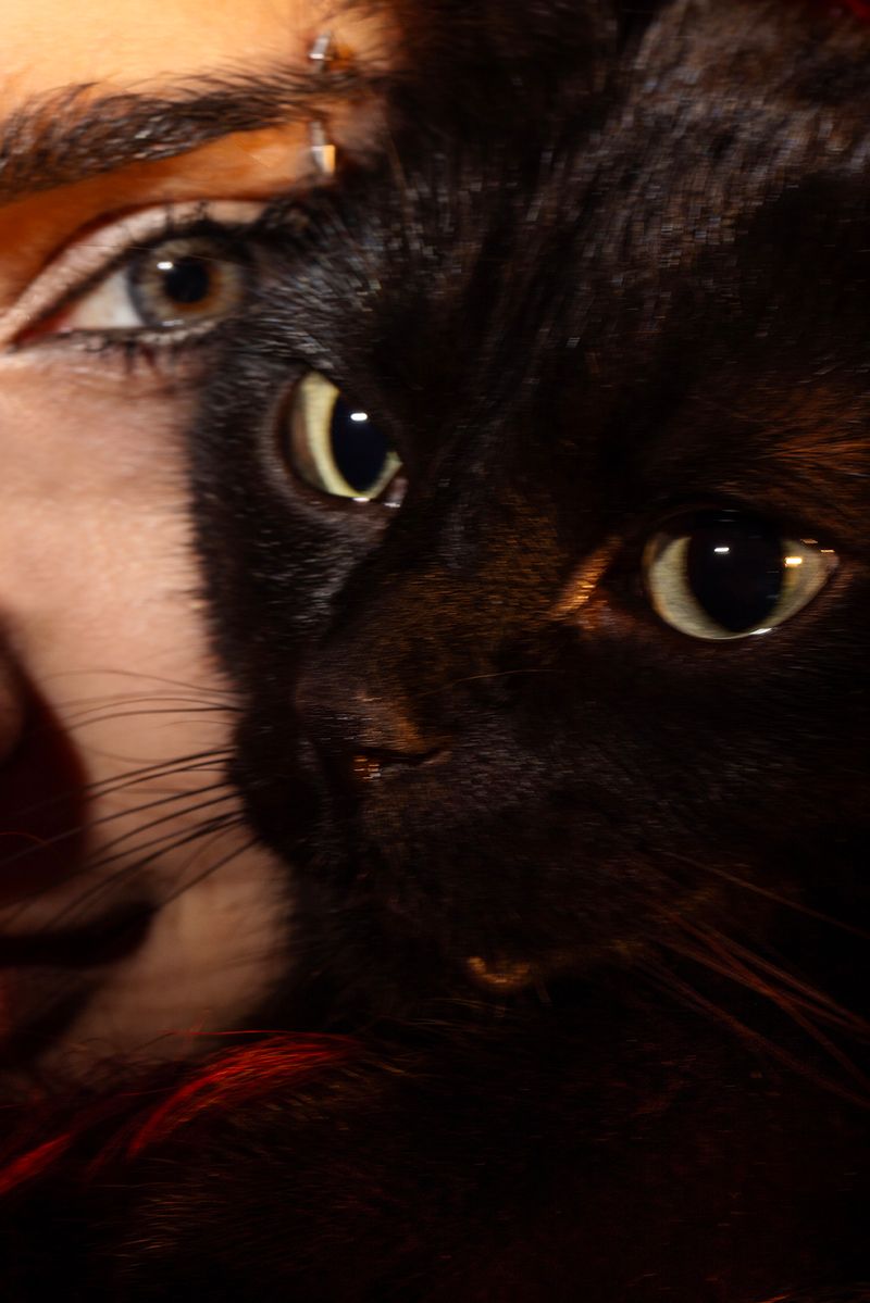 © Liana Grigoryan - Fire "Twinshadow"