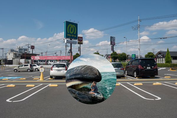 © Marilyne Grimmer - Matsudo, Japan - whale