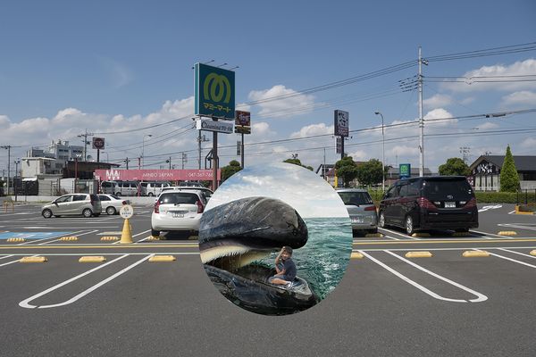 © Marilyne Grimmer - Matsudo, Japan - whale