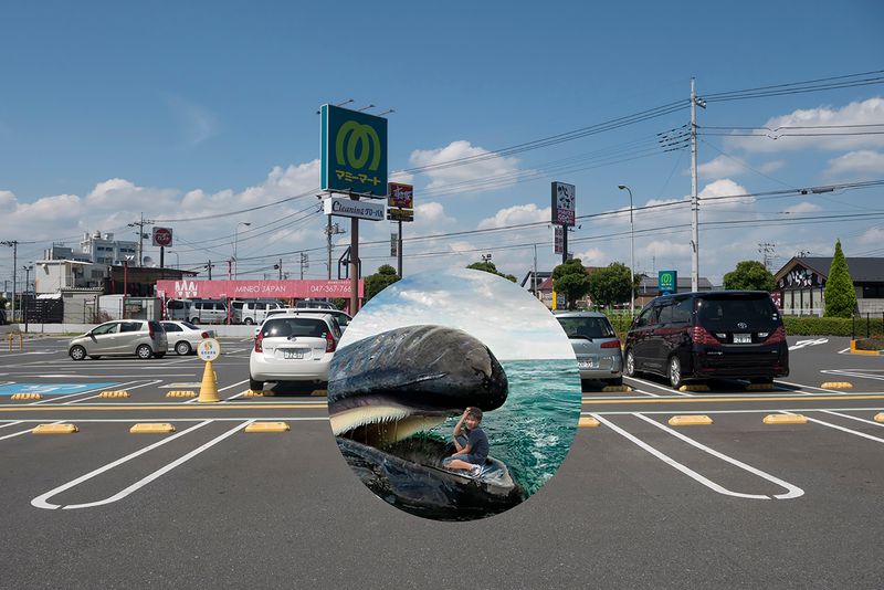 © Marilyne Grimmer - Matsudo, Japan - whale